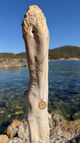 La Moneta - La Monetina (Bronze)
